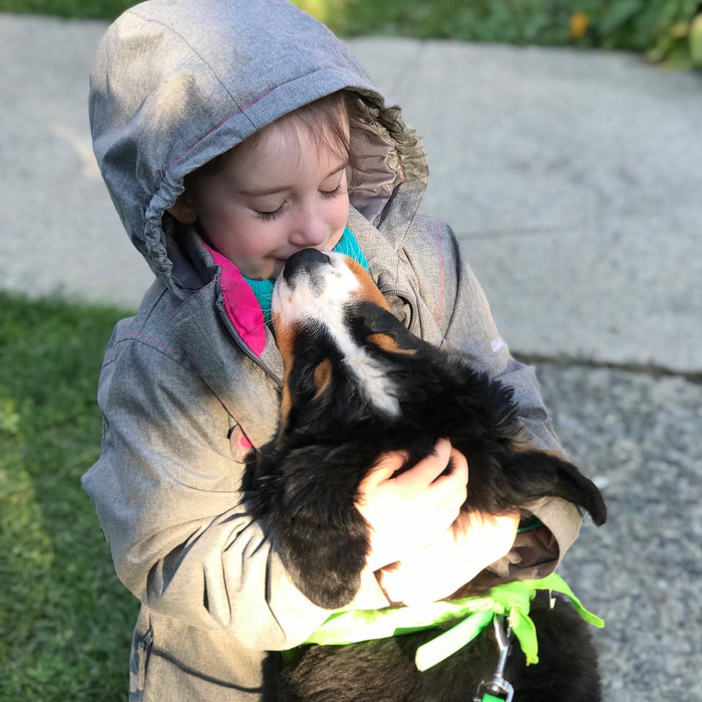 image of puppy kissing child