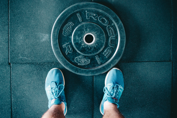 what to expect in the gym what to expect in the gym