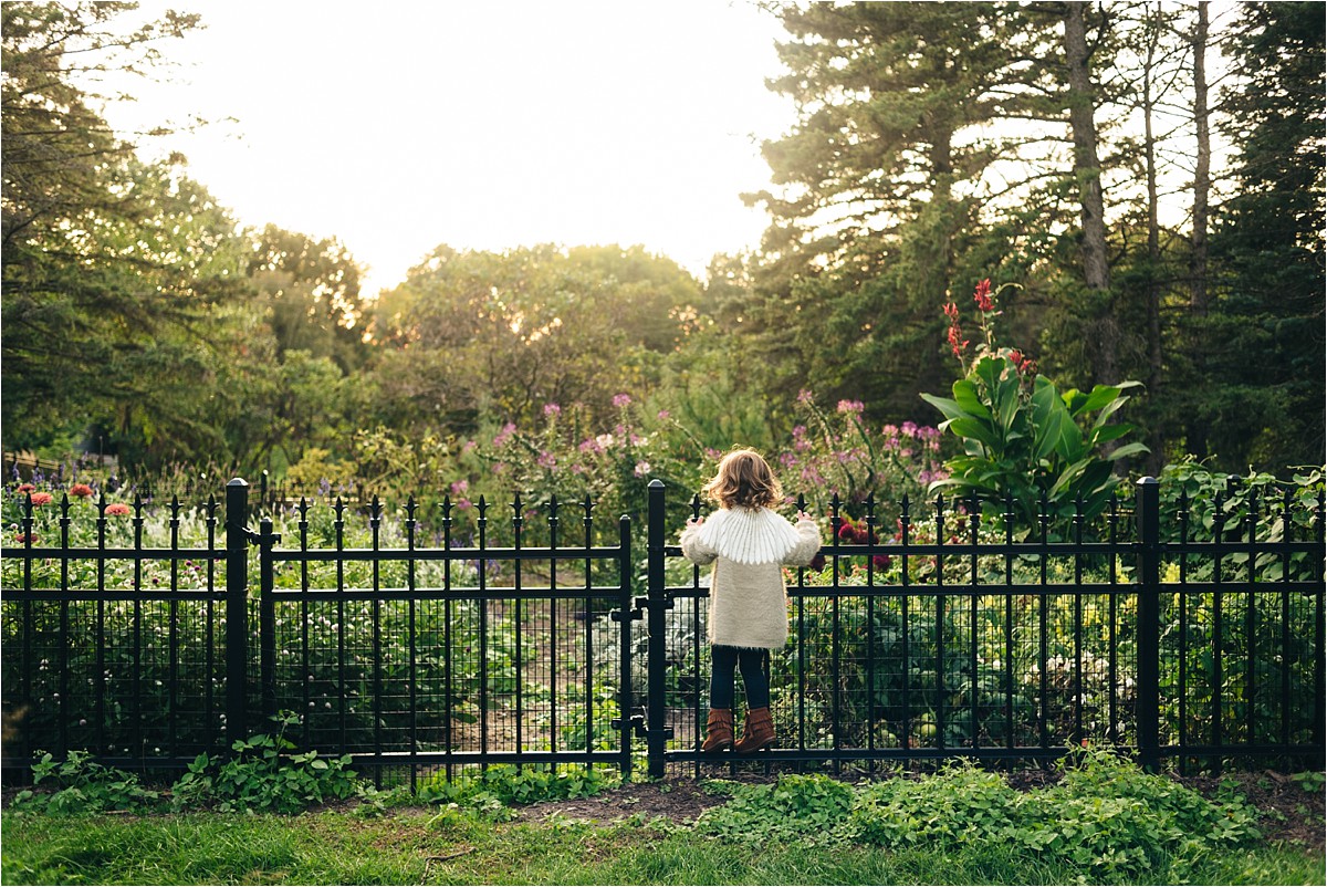 Little girl stands near fence and garden during sunset session.