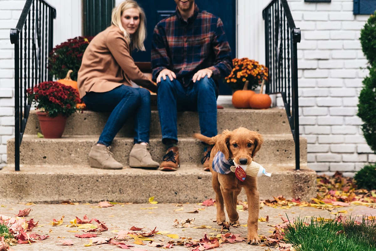 Couple looks on as puppy runs from them during Minnesota sunset photography session.