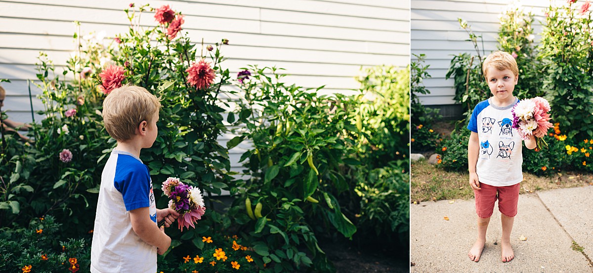 Boy picks flowers in bushes from Minneapolis home.