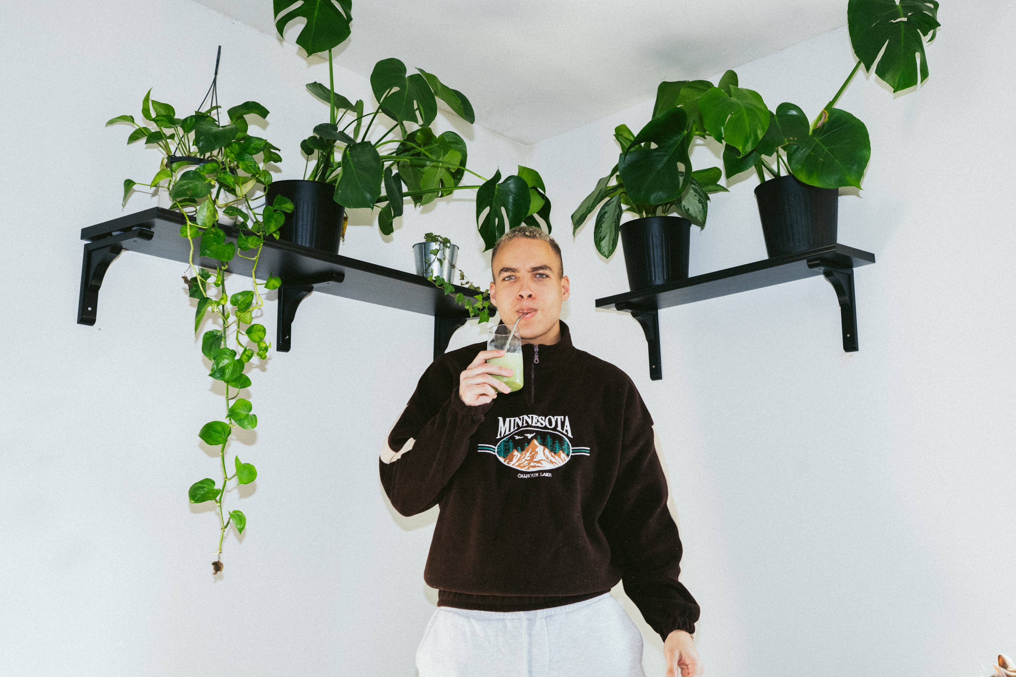 plants plants