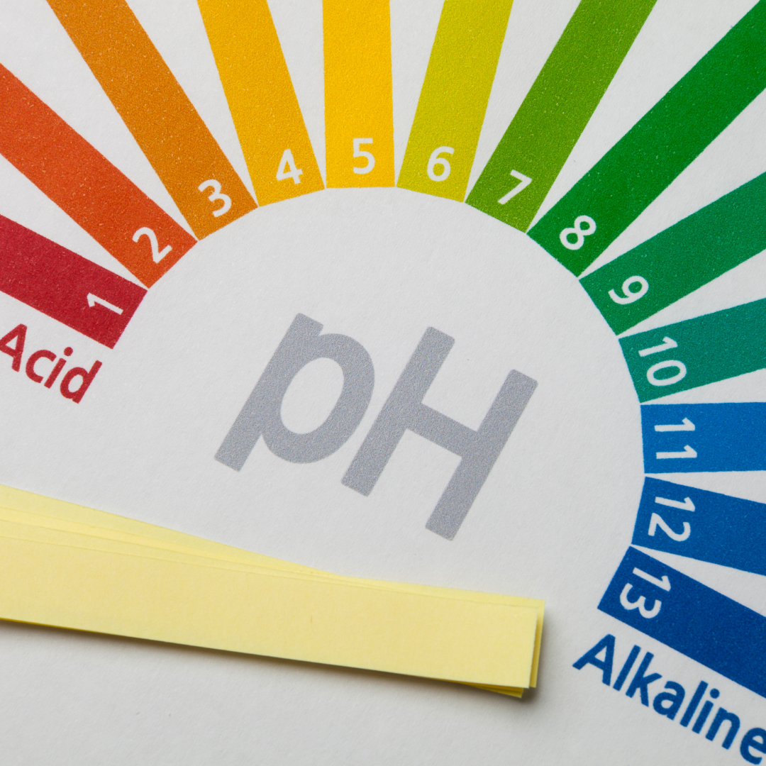 Acid VS Alkaline 