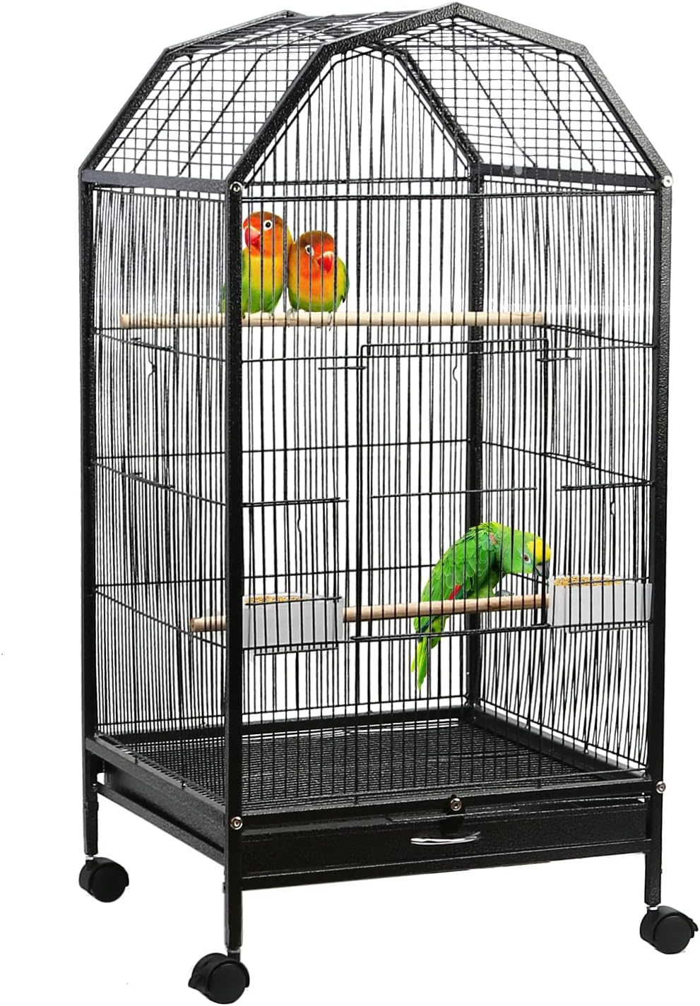 collection-image