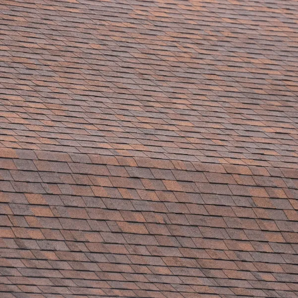 standard-shingle standard-shingle