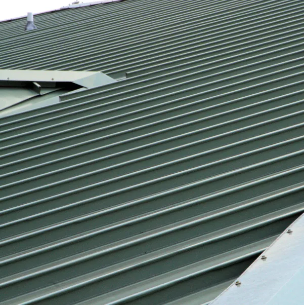 Standardz-metal-roof Standardz-metal-roof