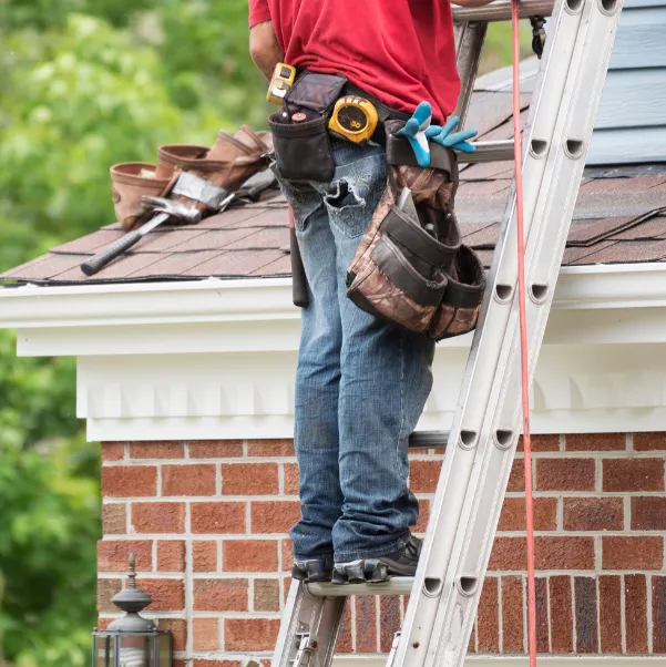 tarp-to-restoration tarp-to-restoration