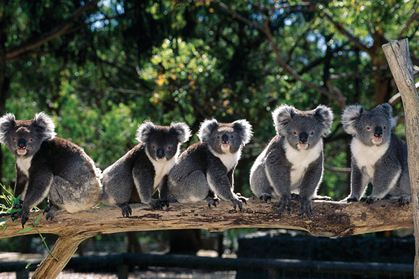 Australia