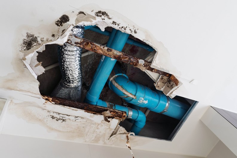 plumbing-property-inspection