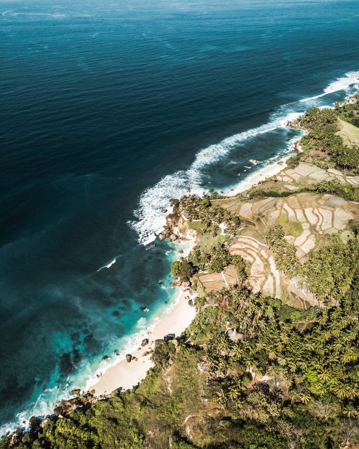 Aerial view of white sand beach, turquoise ocean, and lush green trees in West Sumba, Indonesia