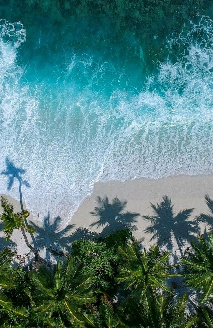 Aerial view of white sand beach, turquoise ocean, and lush green trees in West Sumba, Indonesia