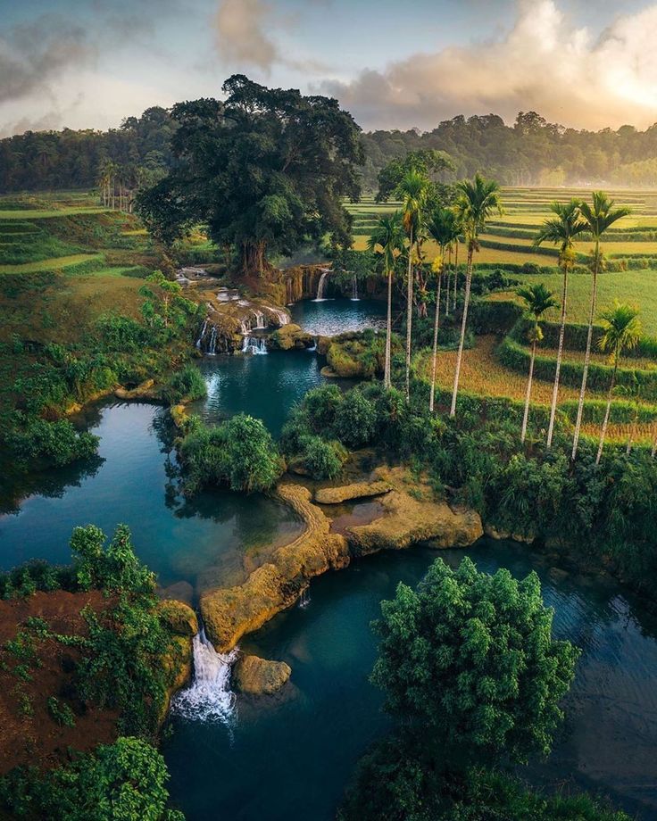 Tropical waterfall flowing through lush green jungle in West Sumba, Indonesia