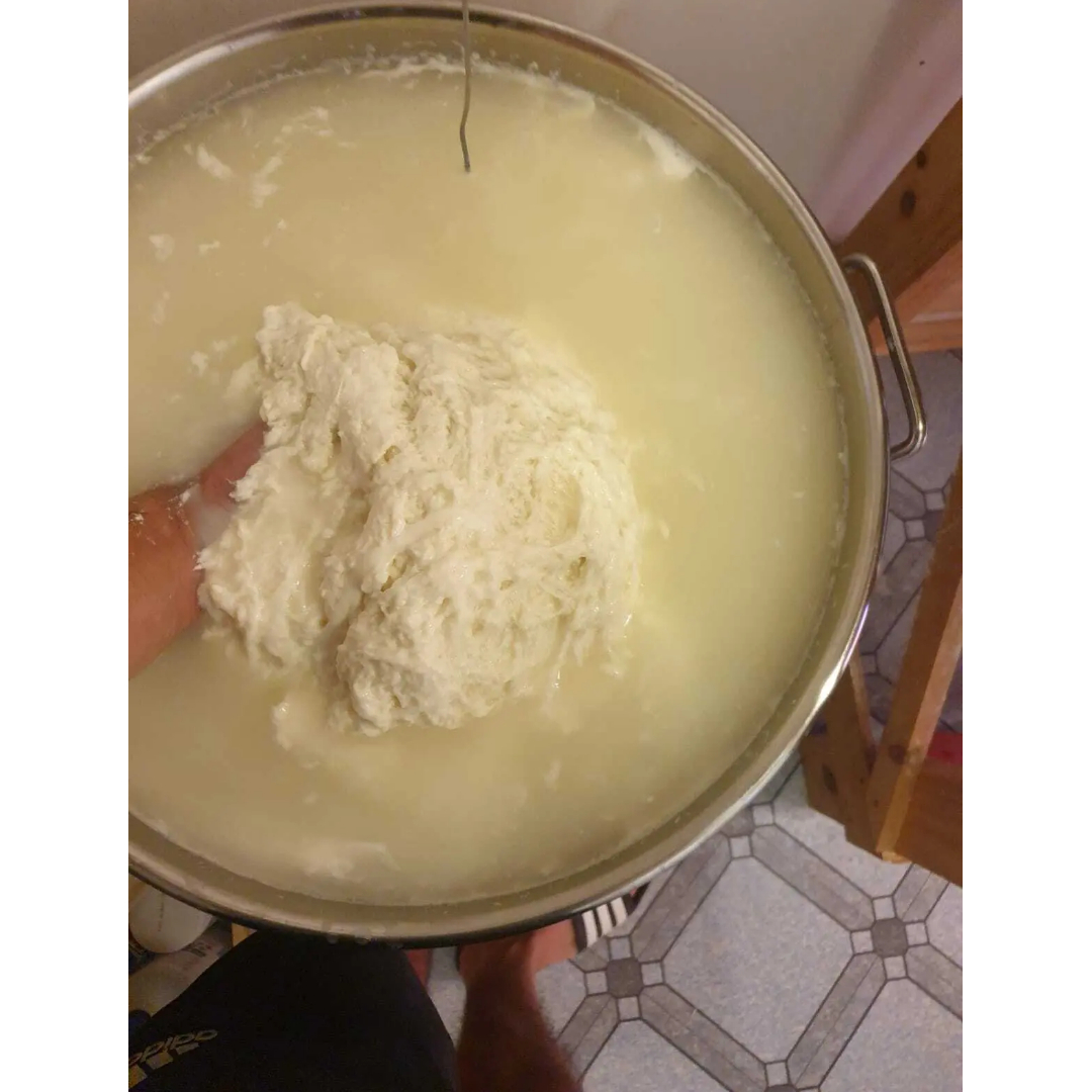 cuajo cuajo