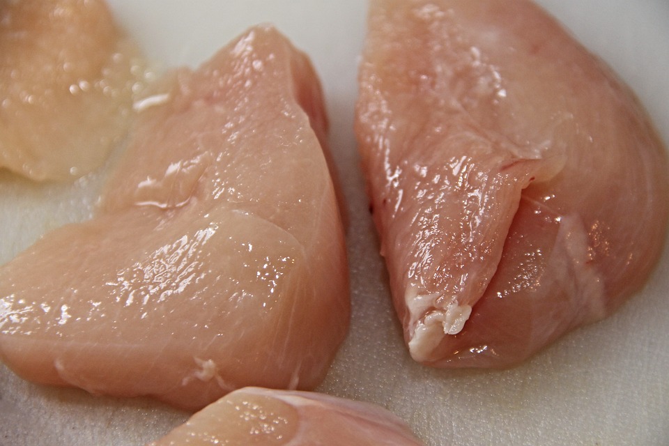 pollo pollo