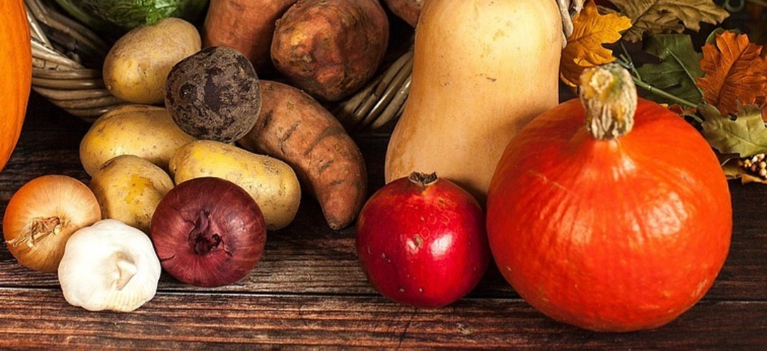 verduras verduras