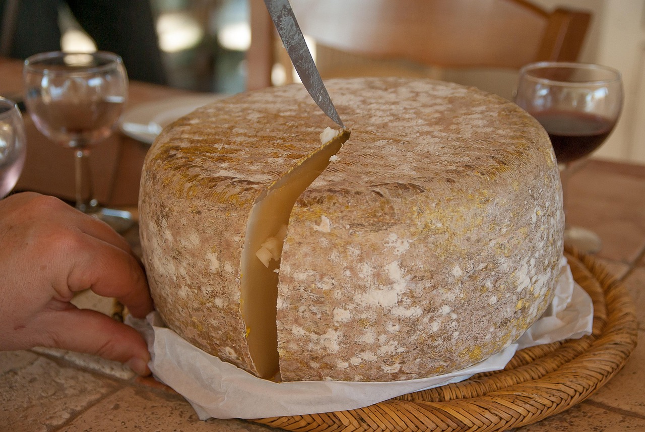 queso queso