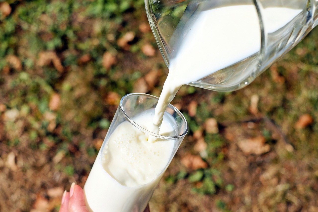 leche leche