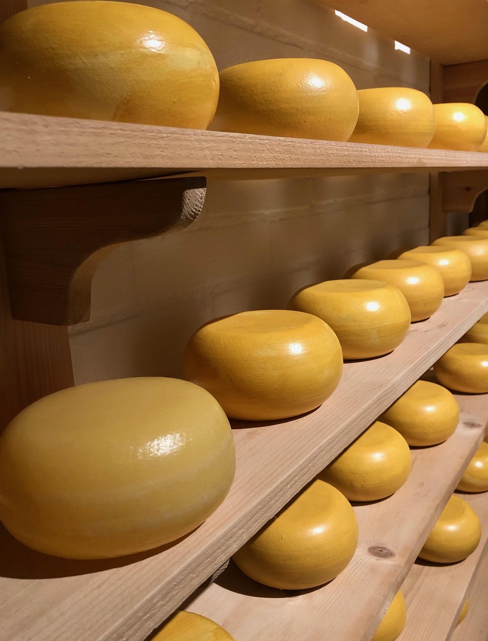 gouda