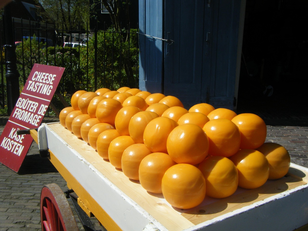 gouda