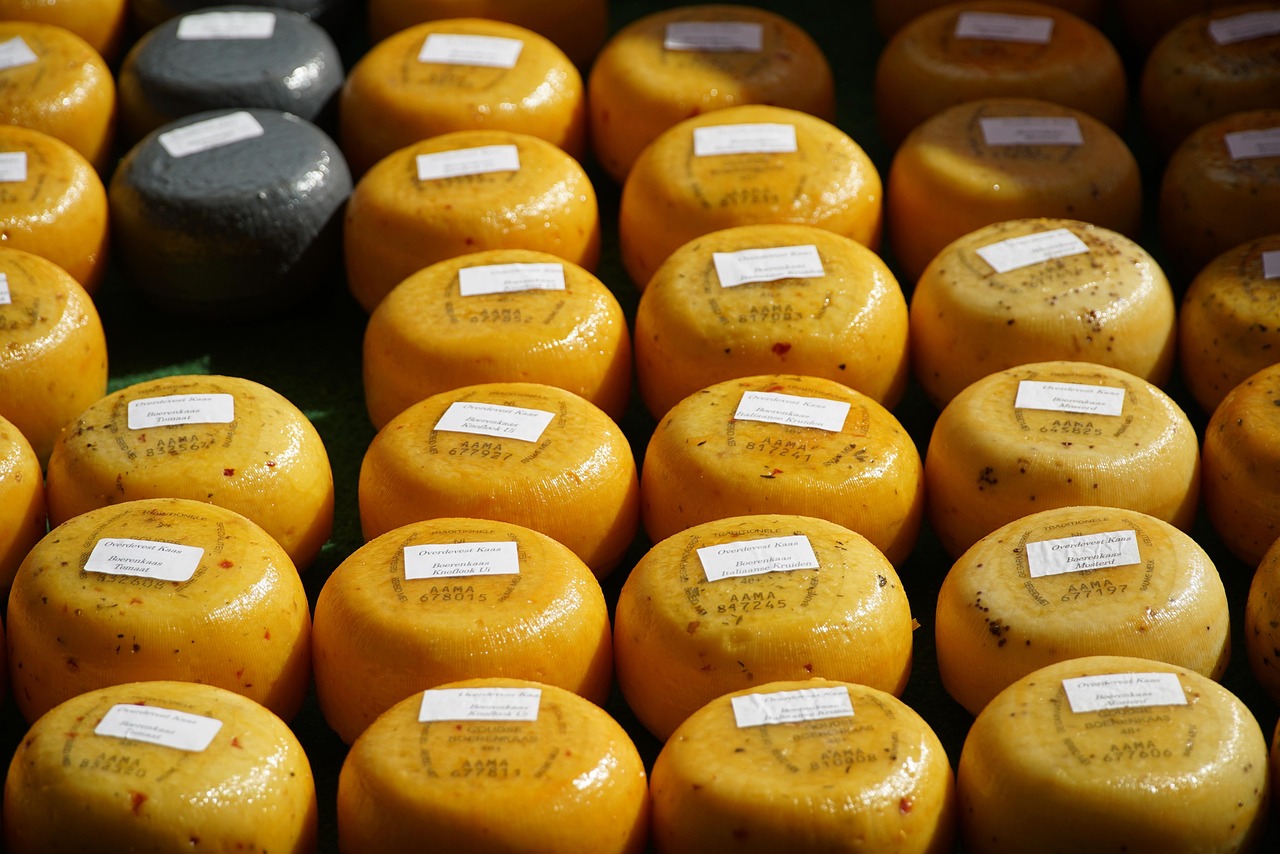 gouda
