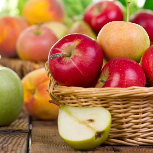 St. George Health and Wellness - The American Apple