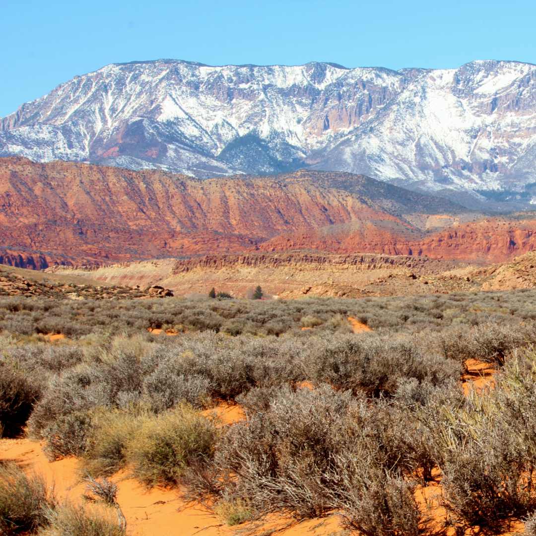 St. George Health and Wellness - Southern Utah Desert