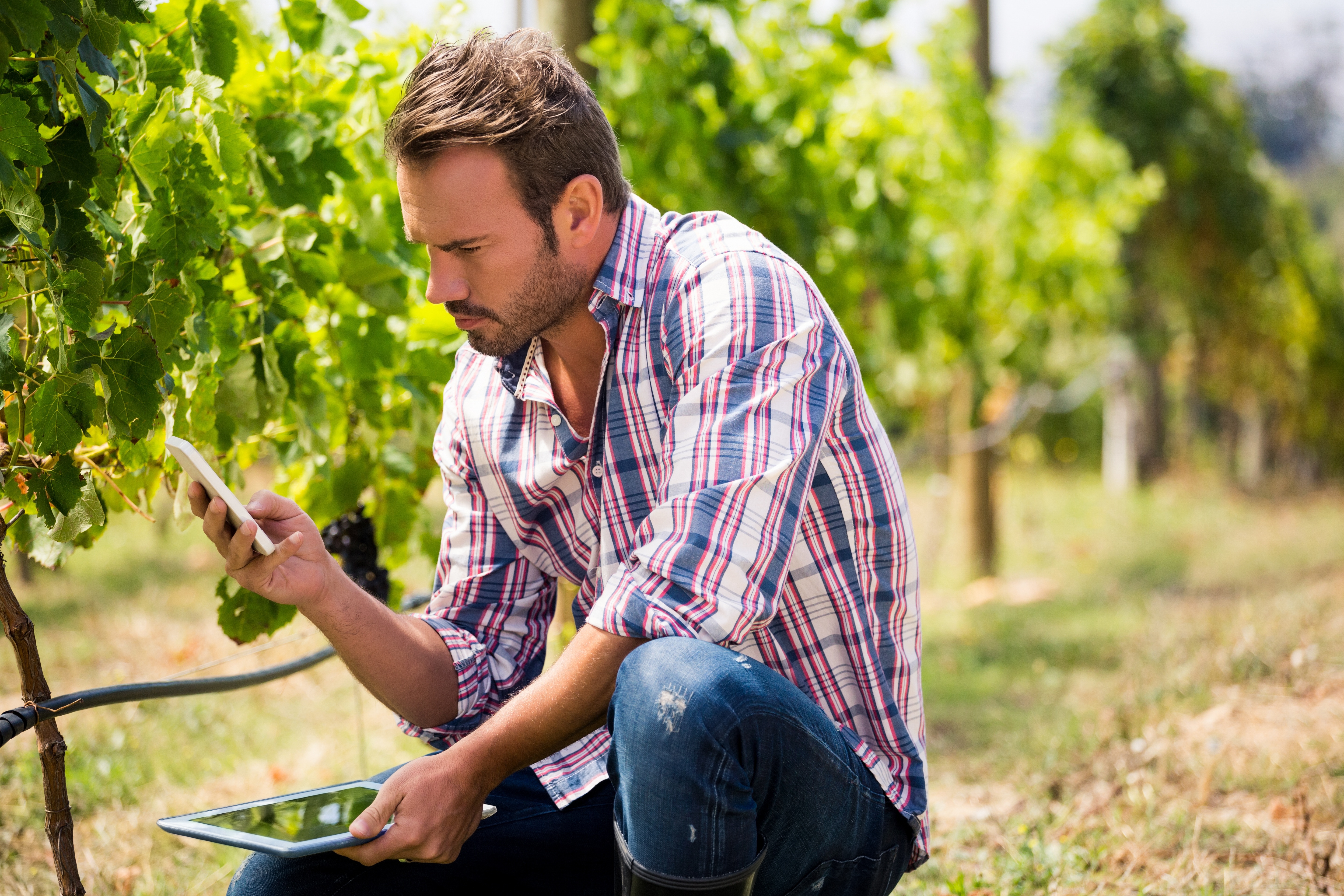 SEO for wineries