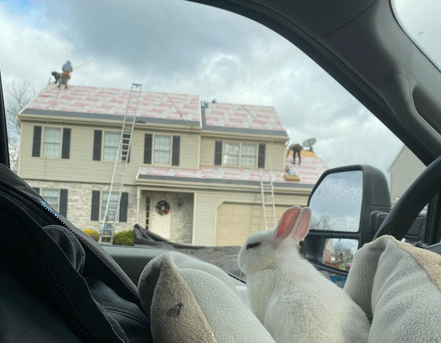 a group of expert roofers on the job