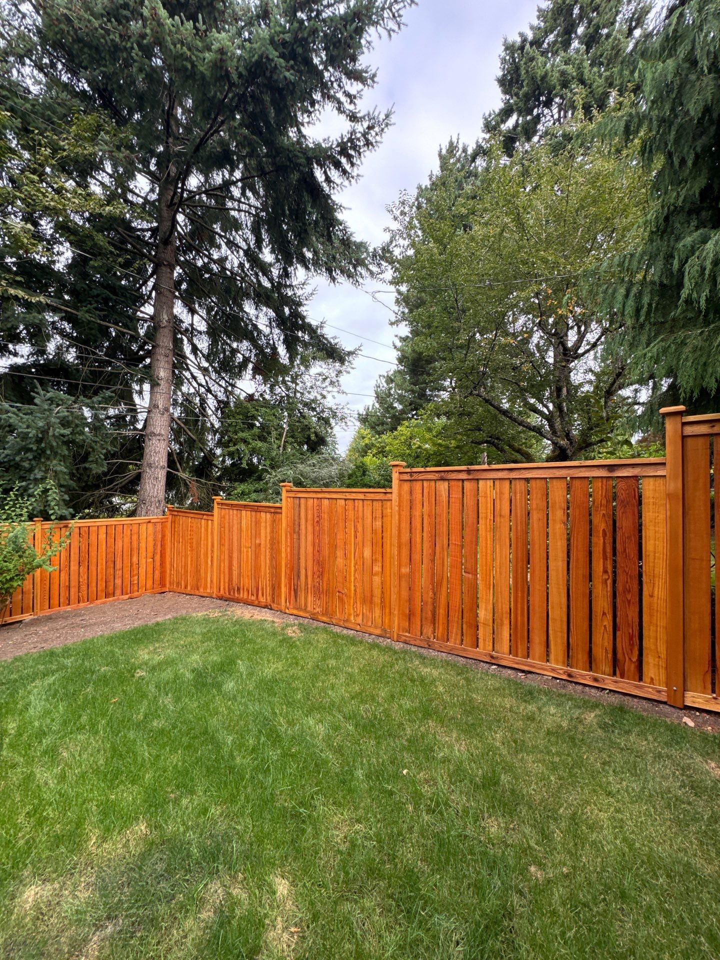 Fence staining services Seattle