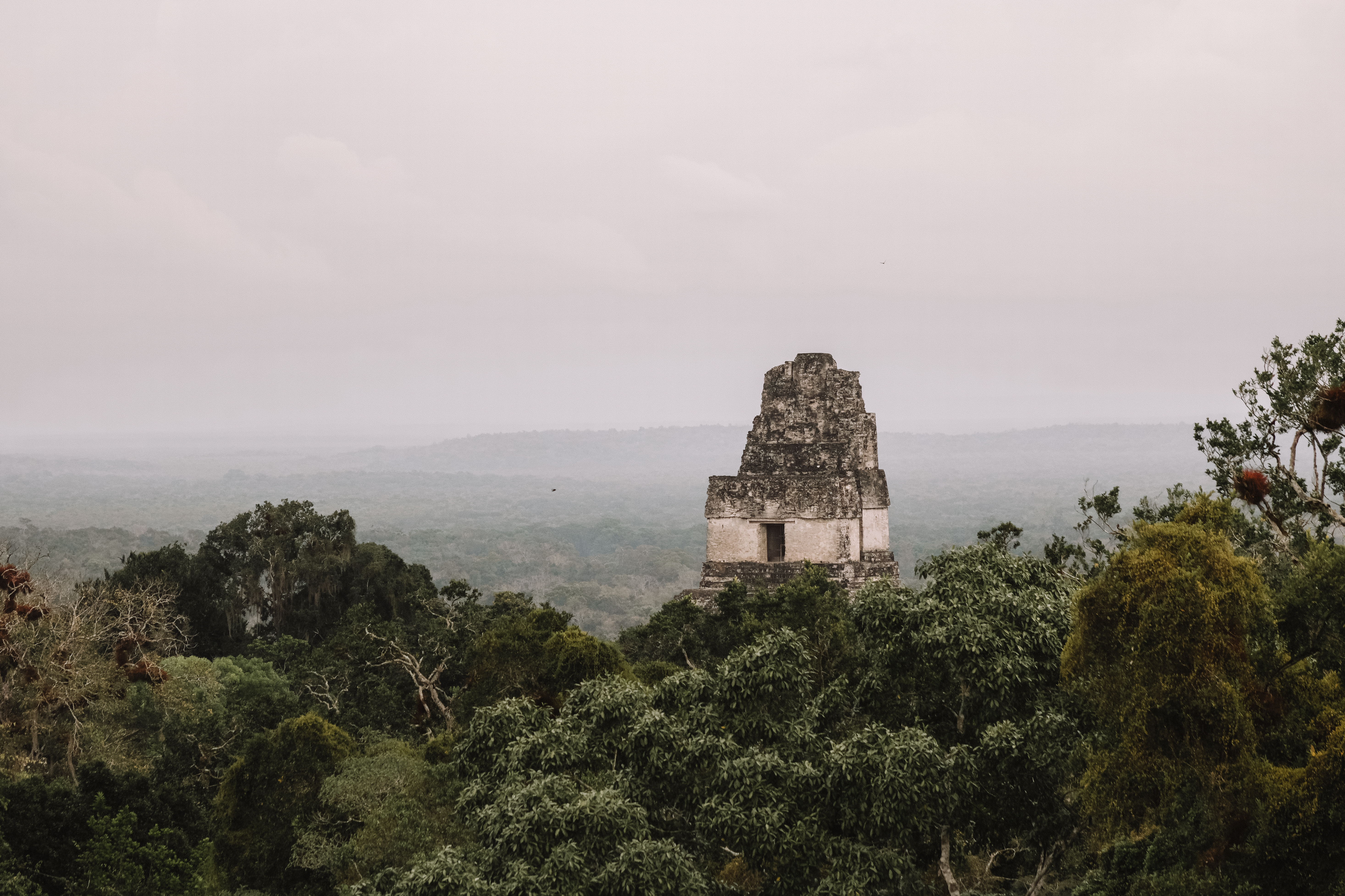 Erin Away in Tikal Erin Away in Tikal