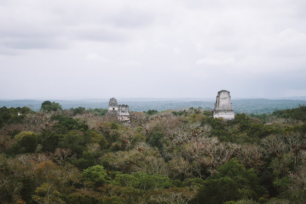 Tikal Ruins of Guatemala Tikal Ruins of Guatemala