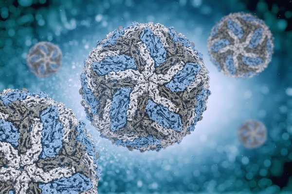 Dengue virus particles illustrated in a scientific visualization, emphasizing the connection to rising dengue cases in Georgia and the importance of prevention methods. Dengue virus particles illustrated in a scientific visualization, emphasizing the connection to rising dengue cases in Georgia and the importance of prevention methods.