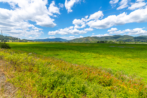 Land