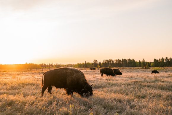 Southern Manitoba Southern Manitoba