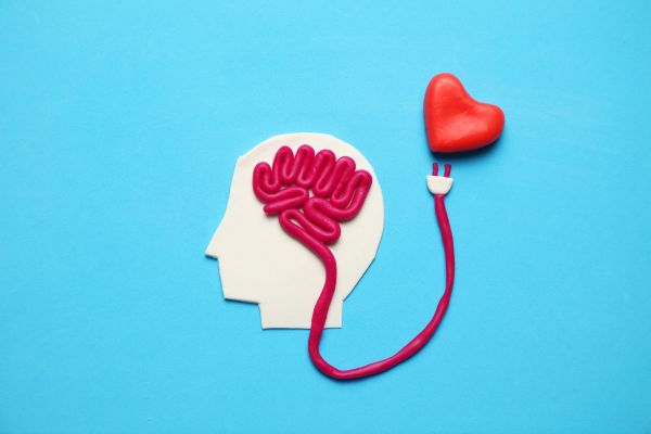 Emotional Intelligence