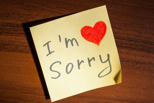 I'm Sorry