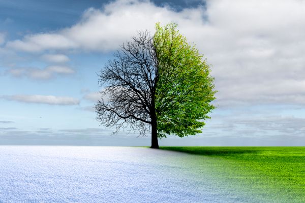 The nature of change