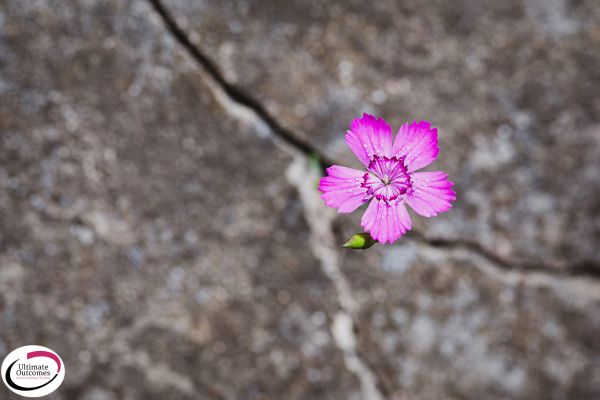 Resilience