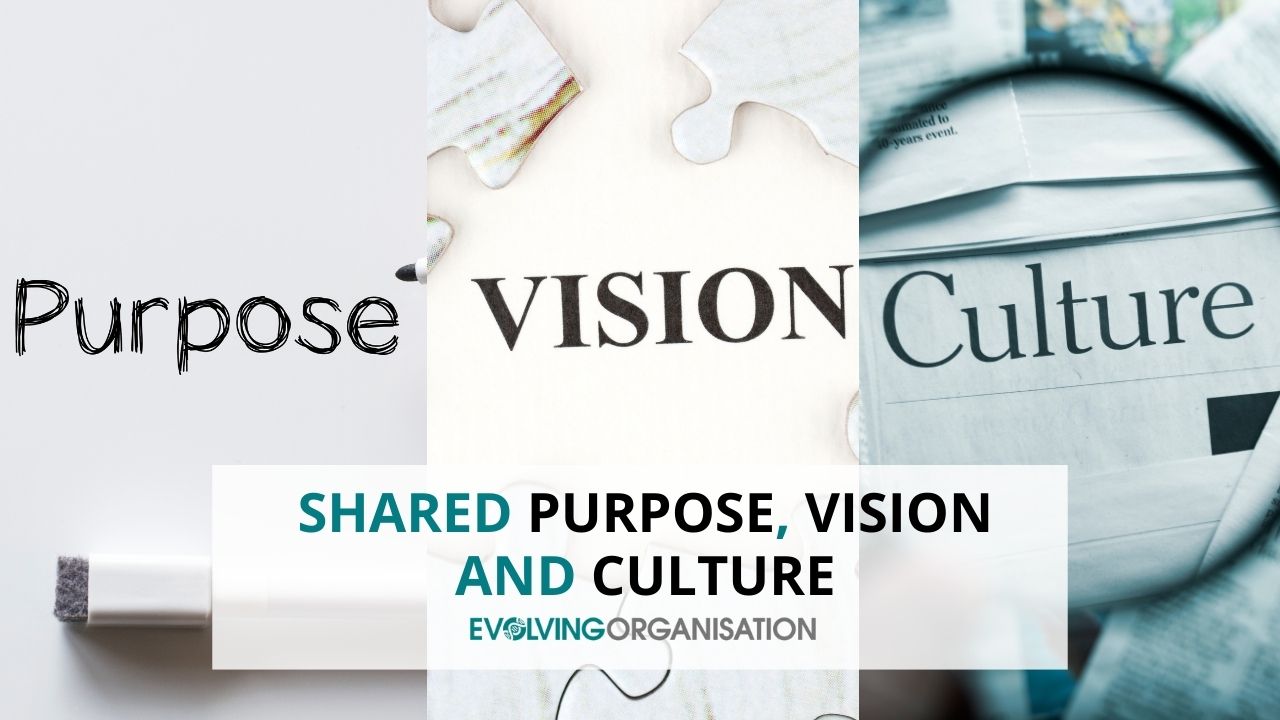 Shared Purpose, Vision and Culture Shared Purpose, Vision and Culture