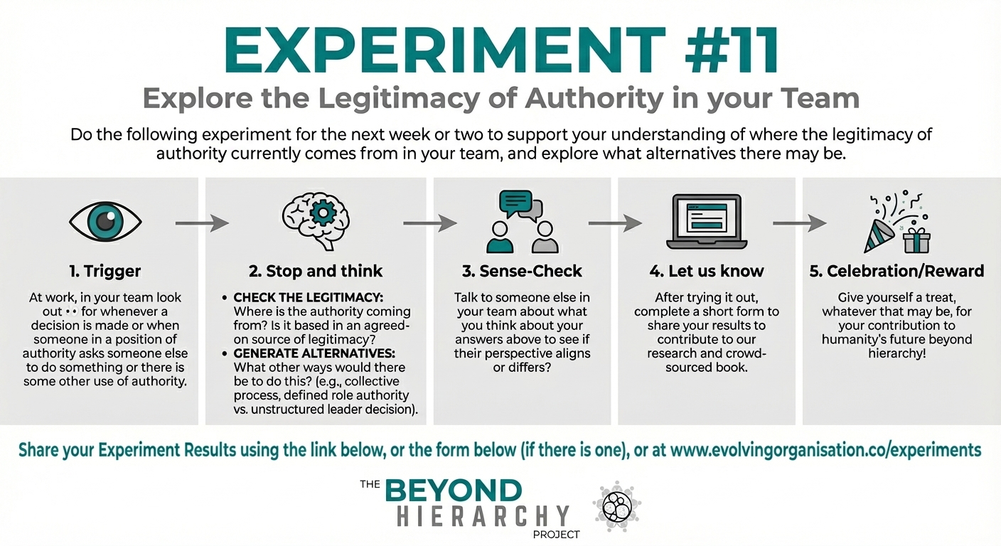 Experiment #11 Experiment #11