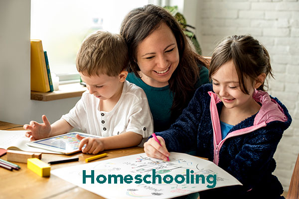 Homeschooling C1 Speaking Worksheets