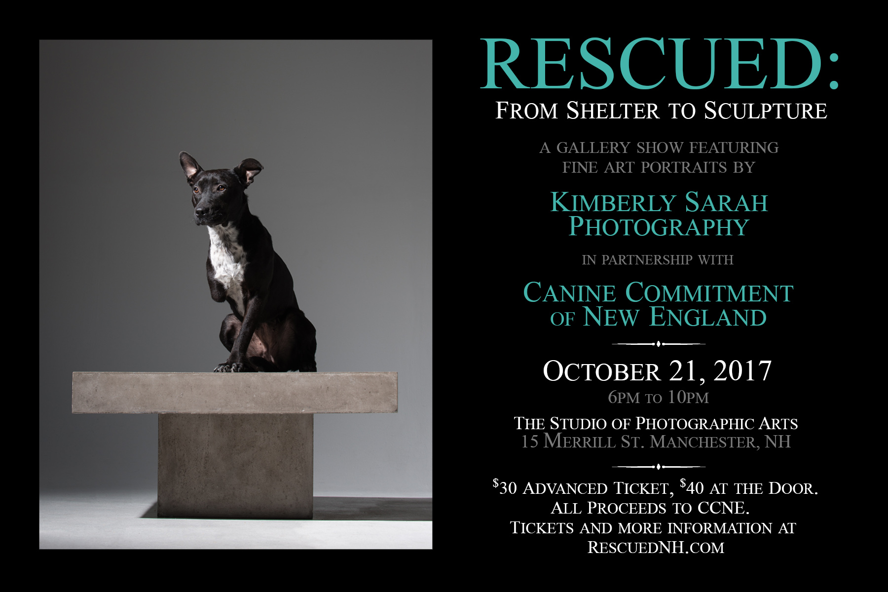 Rescued: From Shelter to Sculpture