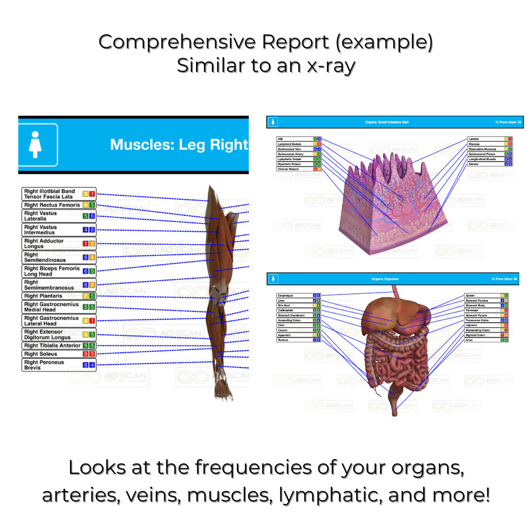 comprehensive report comprehensive report