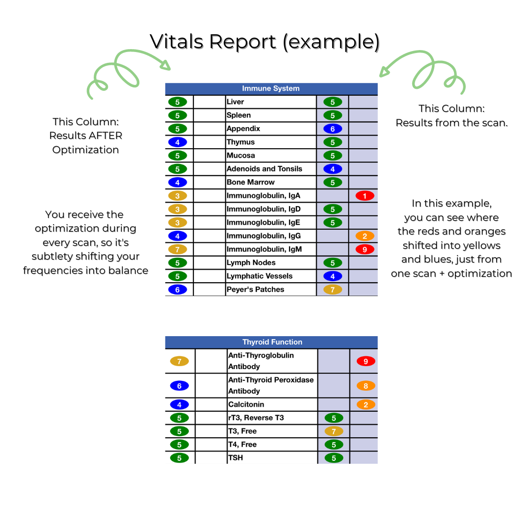 vitals report vitals report