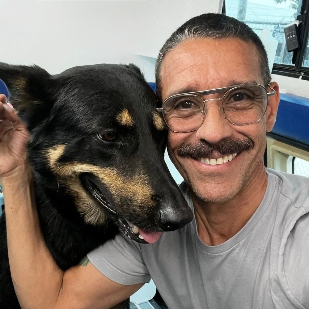 Mobile Dog Grooming in Fort Lauderdale: Why Busy Pet Parents Love It