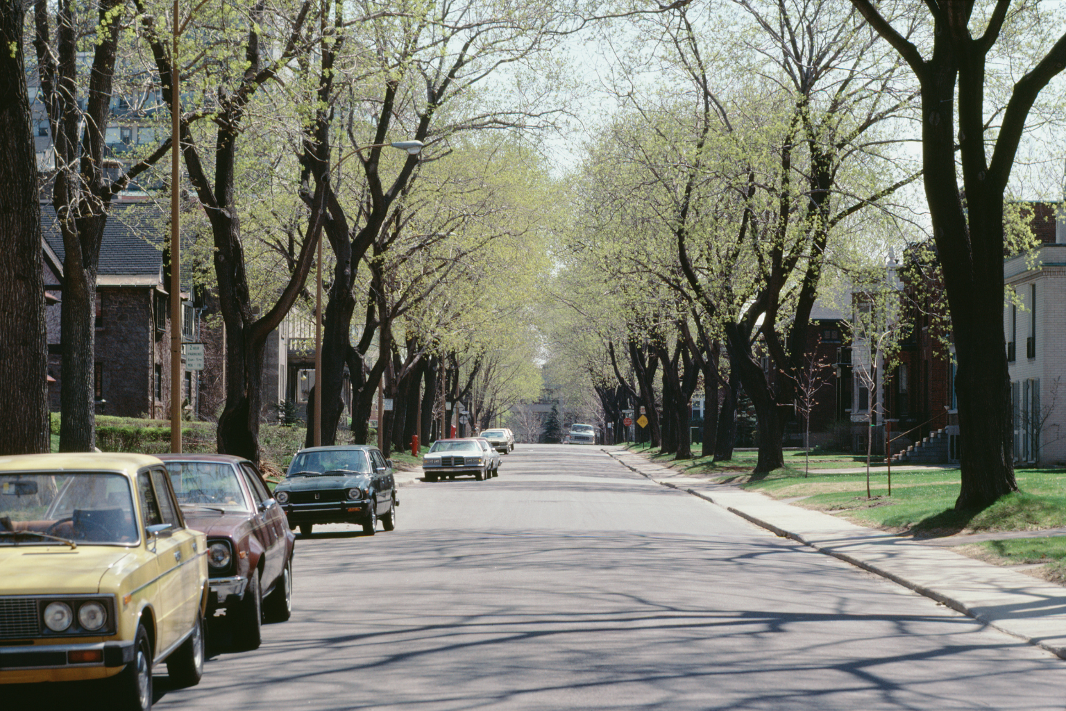 suburban neighborhood cars