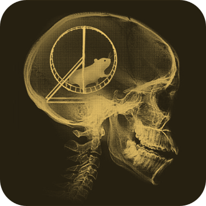 Gold X-ray of a skull with a hamster wheel inside the brain, labeled repeating, rehearsing, looping and ruminating.