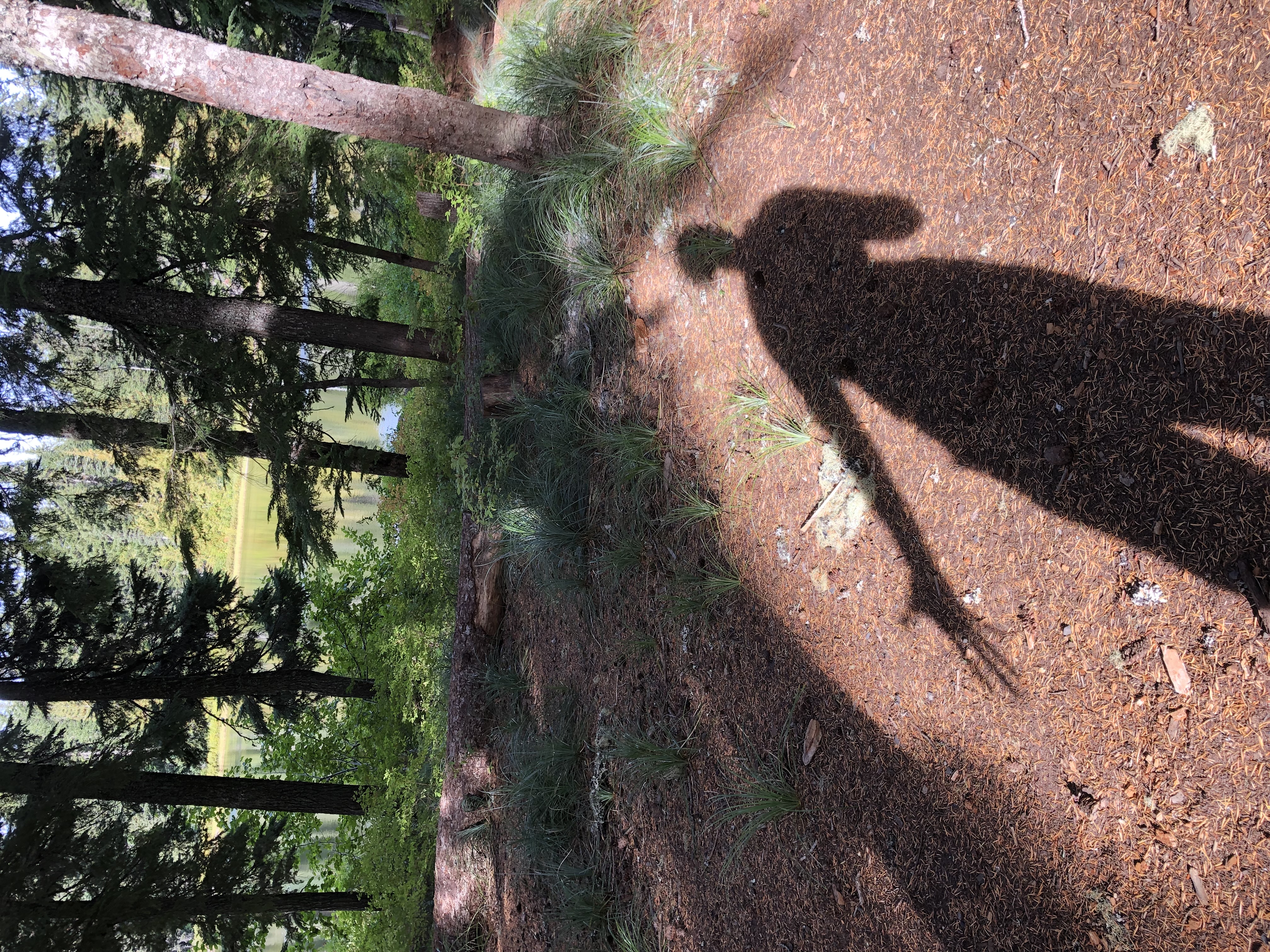autumn equinox shadow