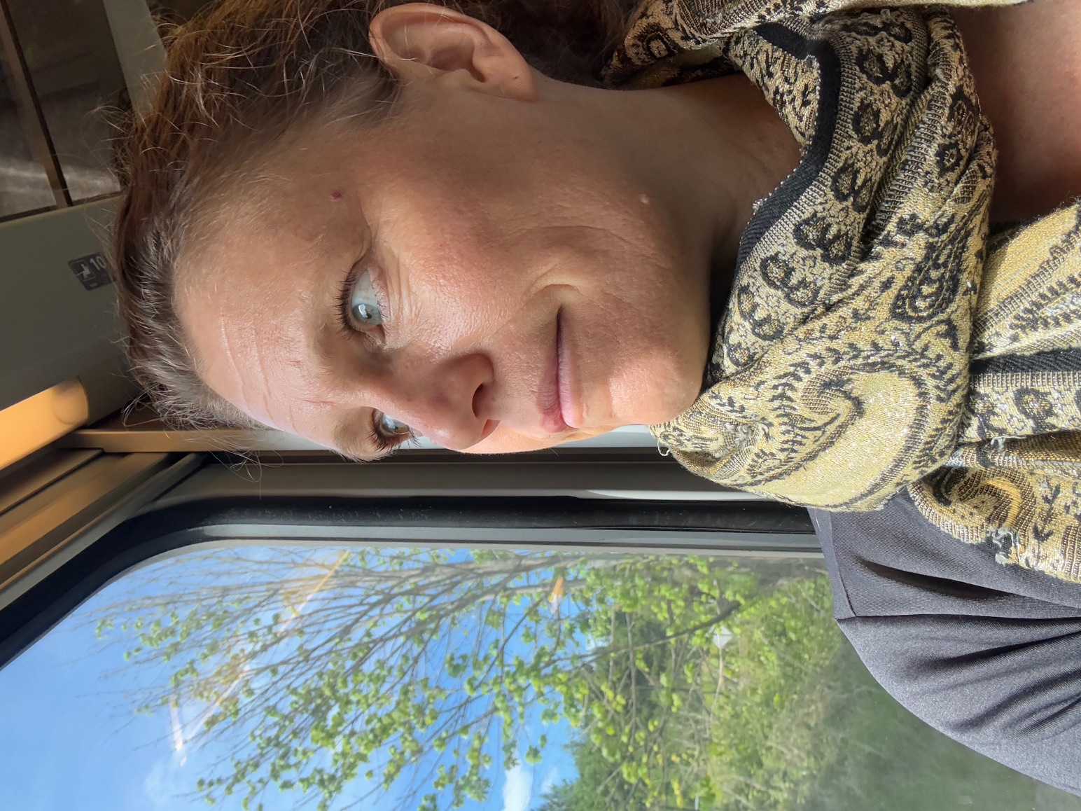 train