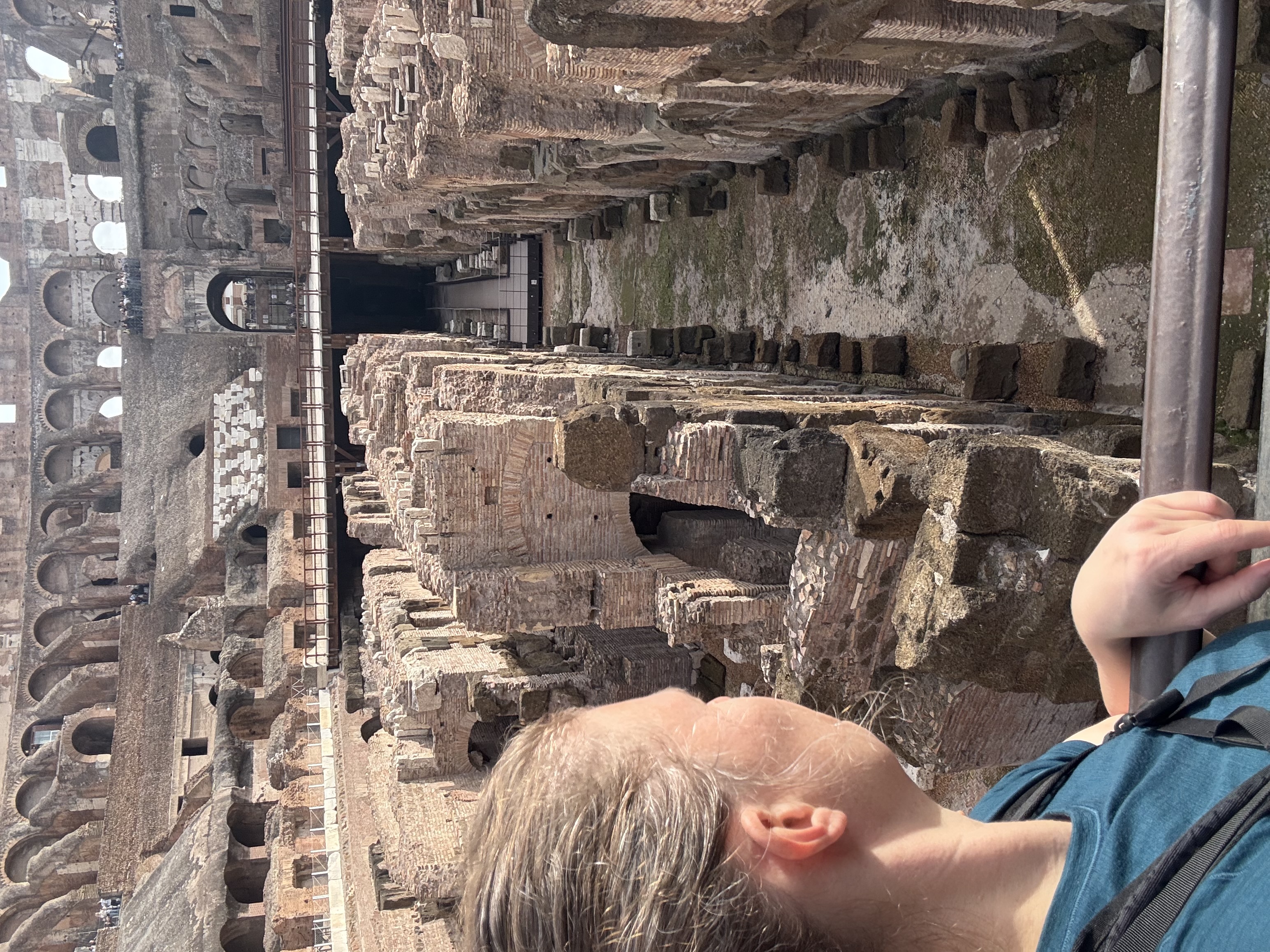 roman coliseum roman coliseum